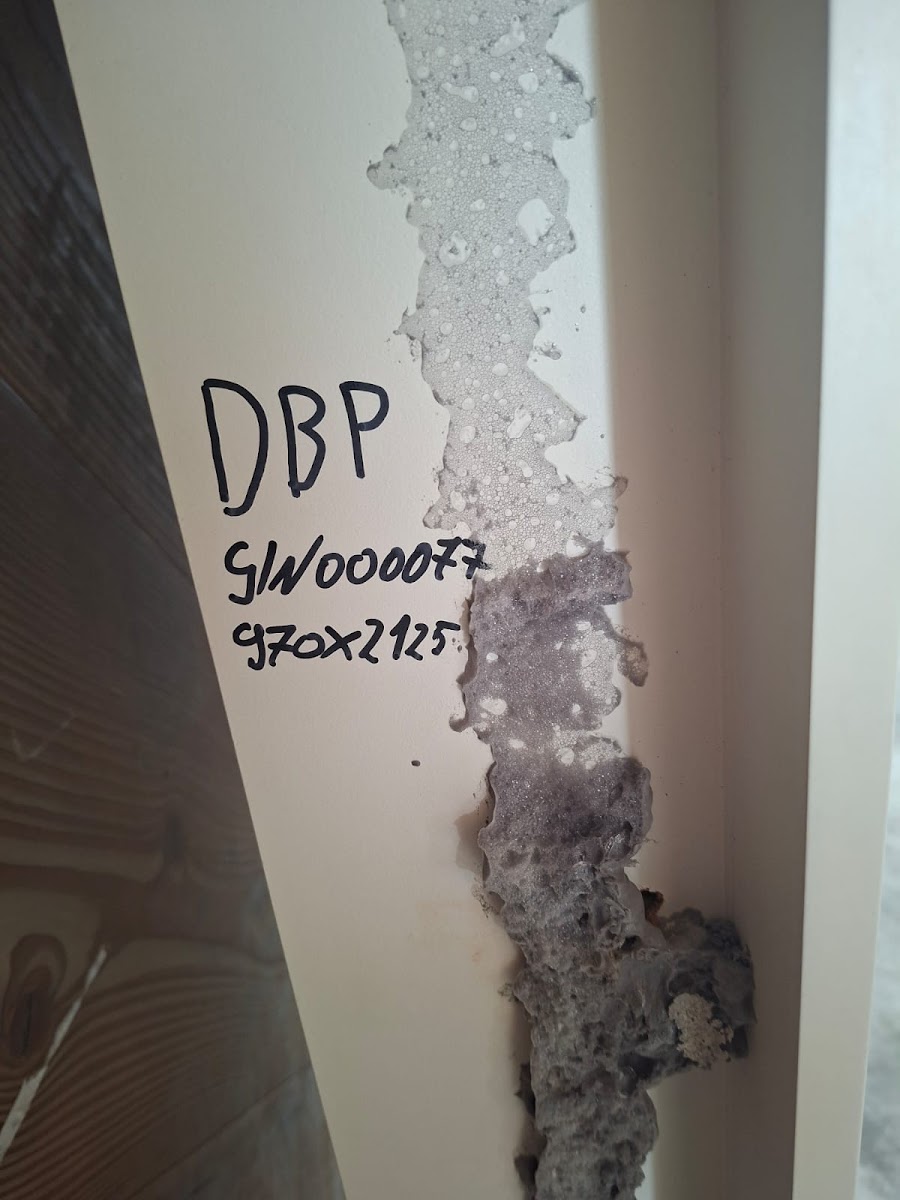Durys 970 × 2125 mm, DBPV